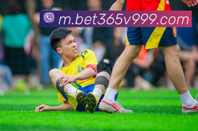bet365中国官网全站App